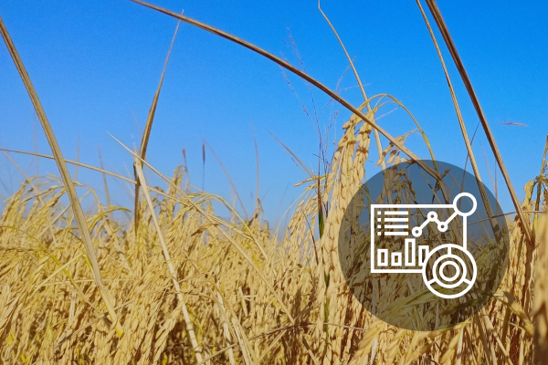 FloCard Impact Visualization 